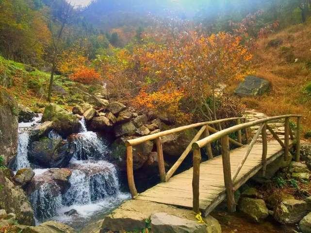 旋转轮胎